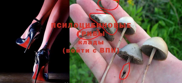индика Алзамай