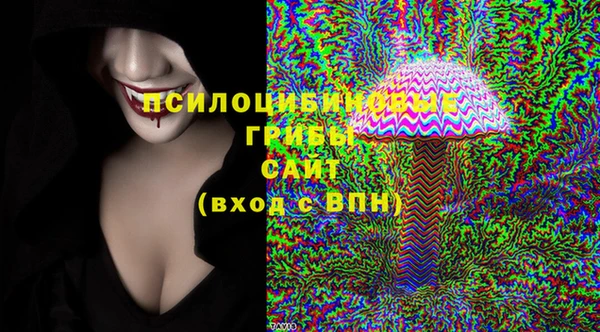 герыч Алексин