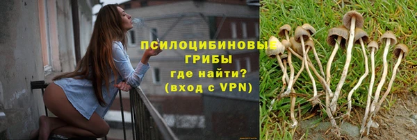 герыч Алексин