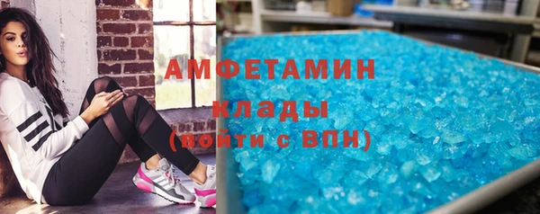 индика Алзамай