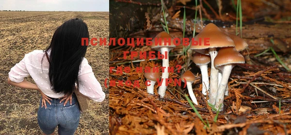 индика Алзамай